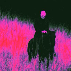 horse_006