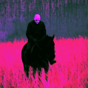 horse_007