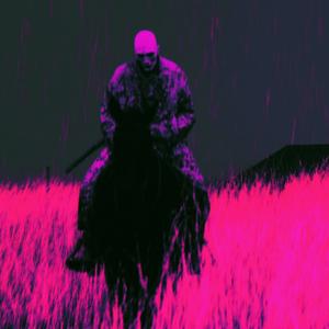 horse_009