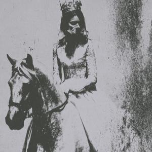 horse_017
