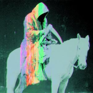 horse_021