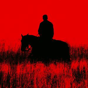 horse_028