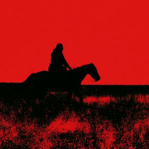 horse_029