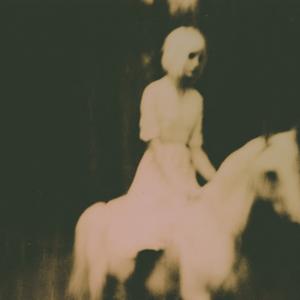 horse_030