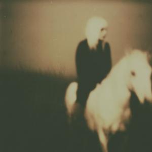 horse_031