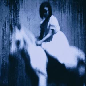 horse_036