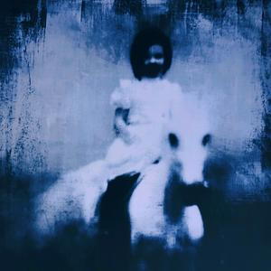 horse_037