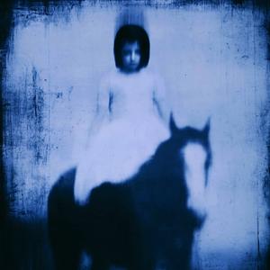 horse_038