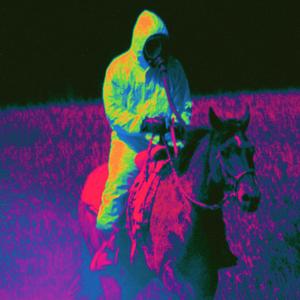 horse_039