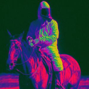 horse_041