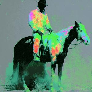 horse_043