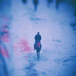 horse_046