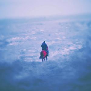 horse_047