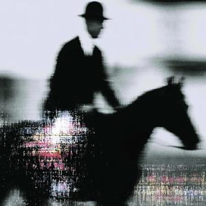 horse_049