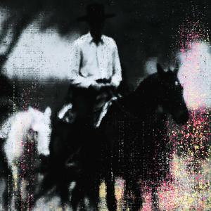 horse_050