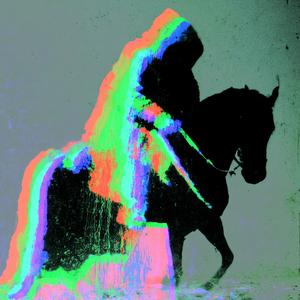 horse_057