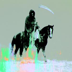 horse_058
