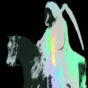 horse_059