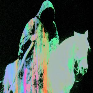 horse_062