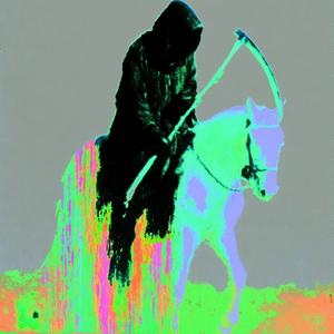 horse_063