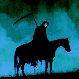 horse_064