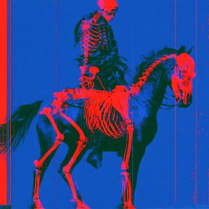 horse_065