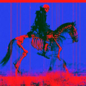 horse_066