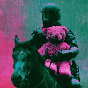 horse_072