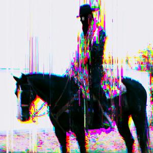 horse_073