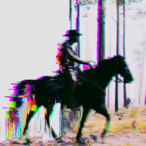 horse_076