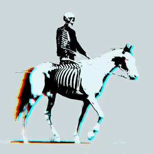 horse_083