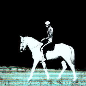 horse_084