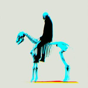 horse_085