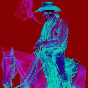 horse_088