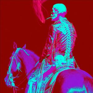 horse_089